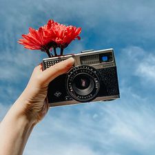 Pexels.com / Lisa Fotios